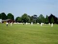Copdock & Old Ipswichian Cricket Club